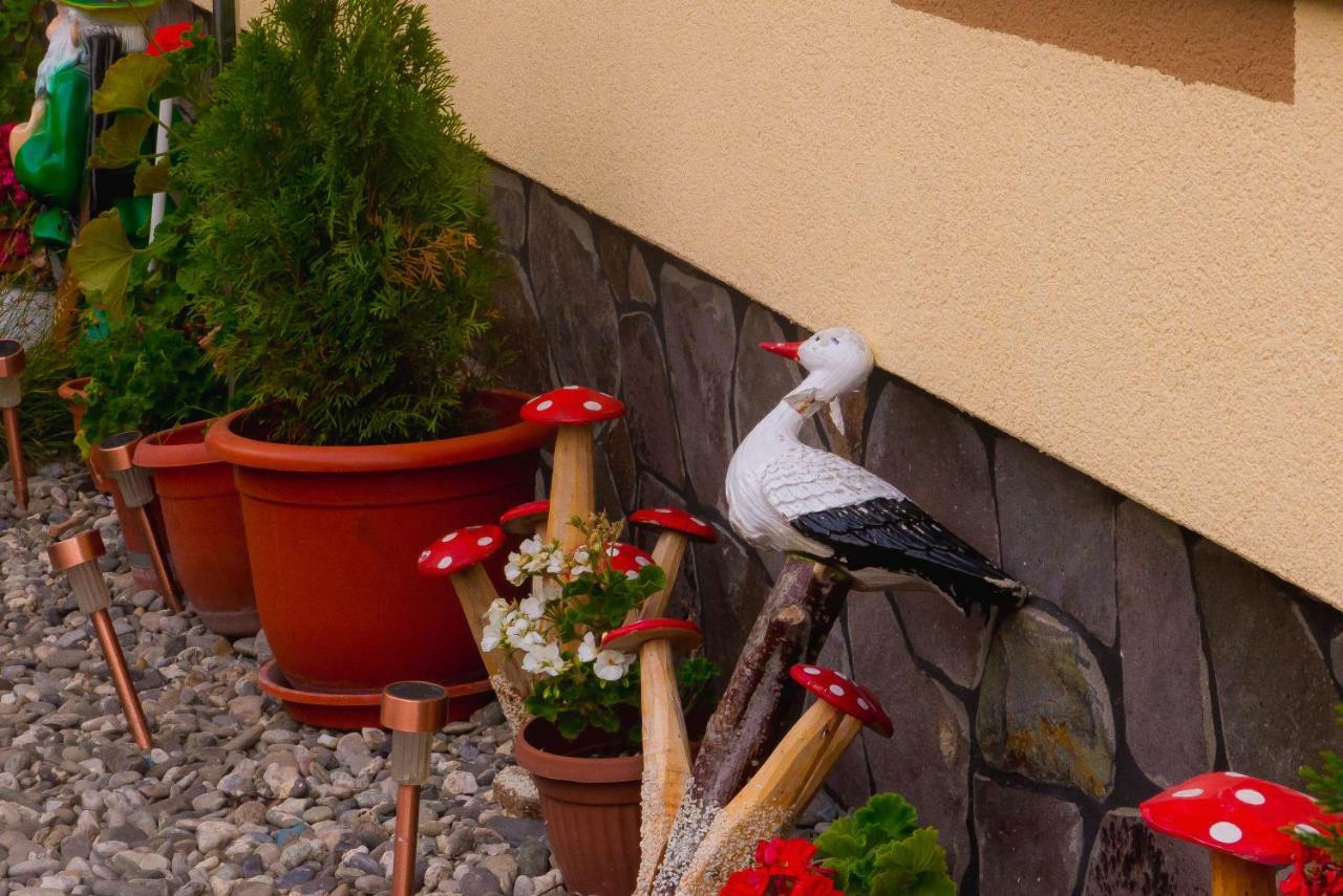 Hotel Casa Pop Săpînţa Esterno foto